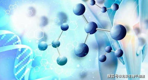 李非博士 干細(xì)胞干預(yù)糖尿病的科學(xué)探索與前景