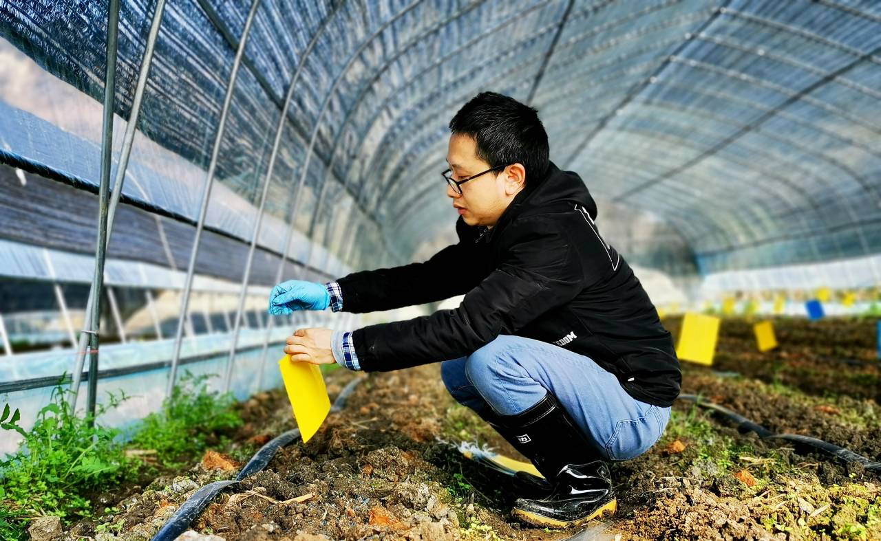 扎根田野，書(shū)寫(xiě)大地——記貴州理工學(xué)院教授柏松的自然科學(xué)研究之路